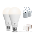 Energy Saving Rechargeable Intelligent Emergency Bulb